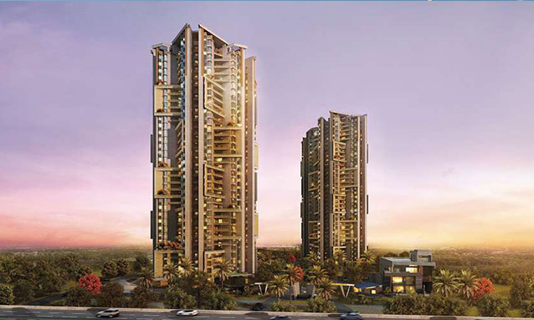 Hero Homes The Palatial